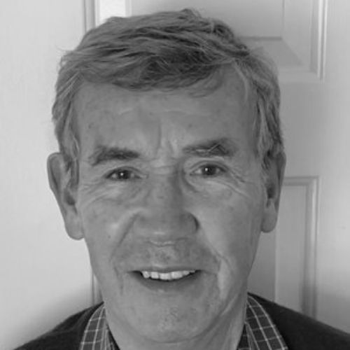 Dr. David Gwyther Headshot
