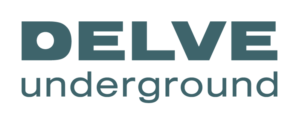 Delve logo